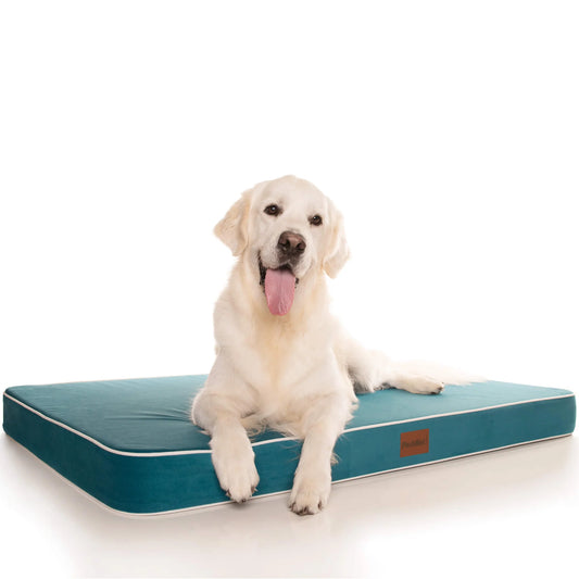 PlushMat! Orthopaedic Dog Bed